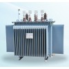 S13（M）系列双绕组油浸式配电变压器