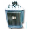 国家电网基准10kV级变压器